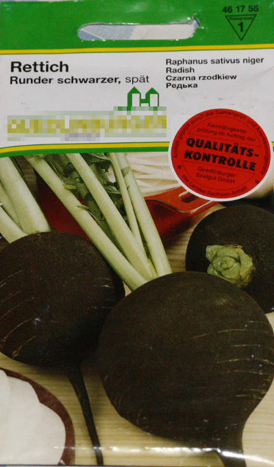 Raphanus sativus var. niger, schwarzer Rettich