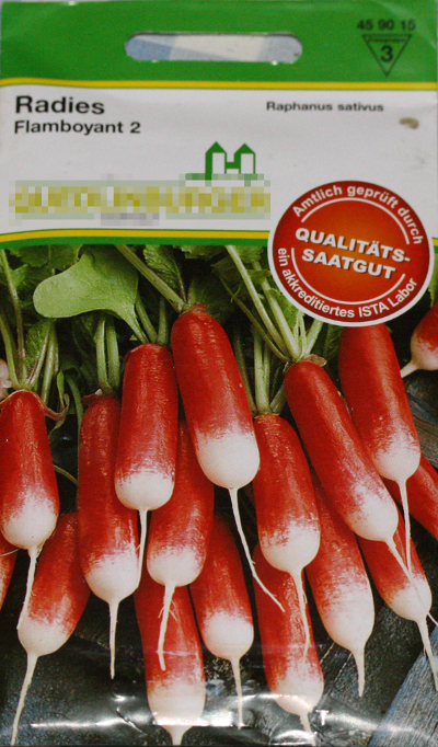 Raphanus sativus var. sativus, Radieschen